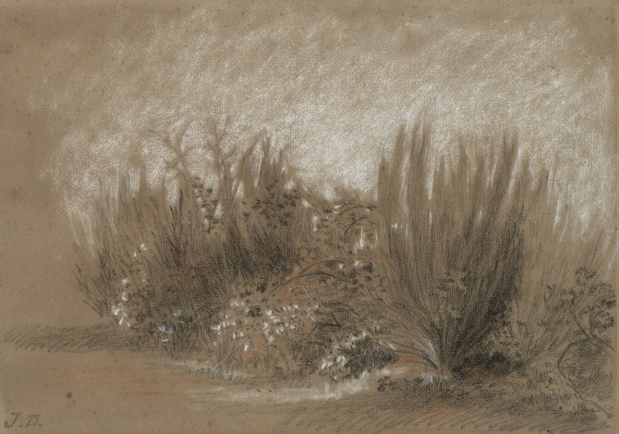 Genets et Ronces (Brem en Braamstruiken) door Jules Dupré