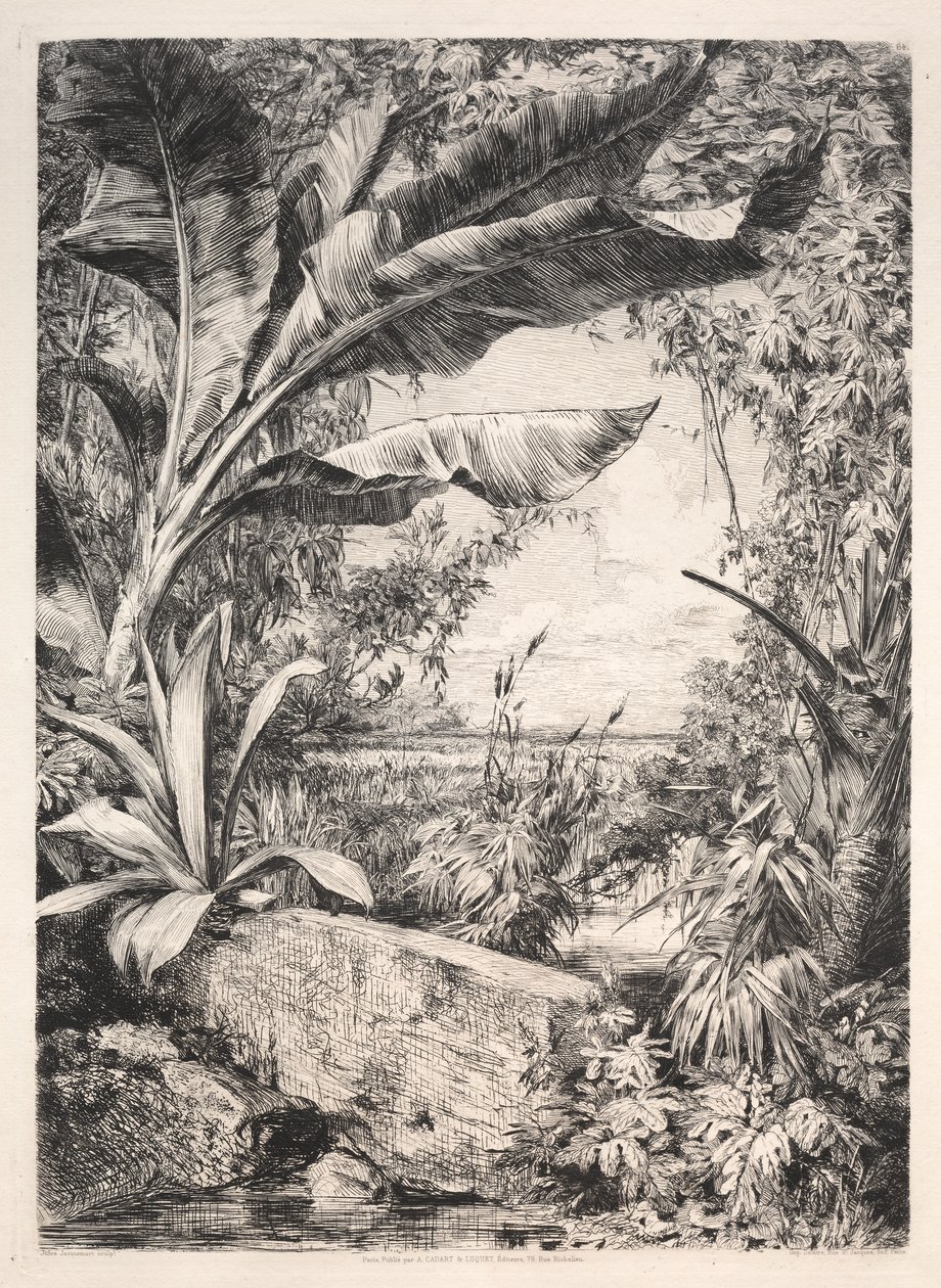 Planten van de kas, 1872 door Jules Ferdinand Jacquemart