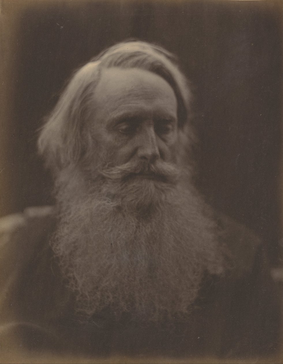 Henry Taylor door Julia Margaret Cameron