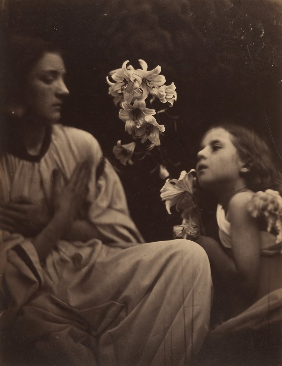 Een Studie door Julia Margaret Cameron