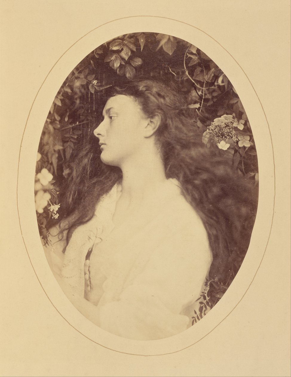 [Alethea] door Julia Margaret Cameron