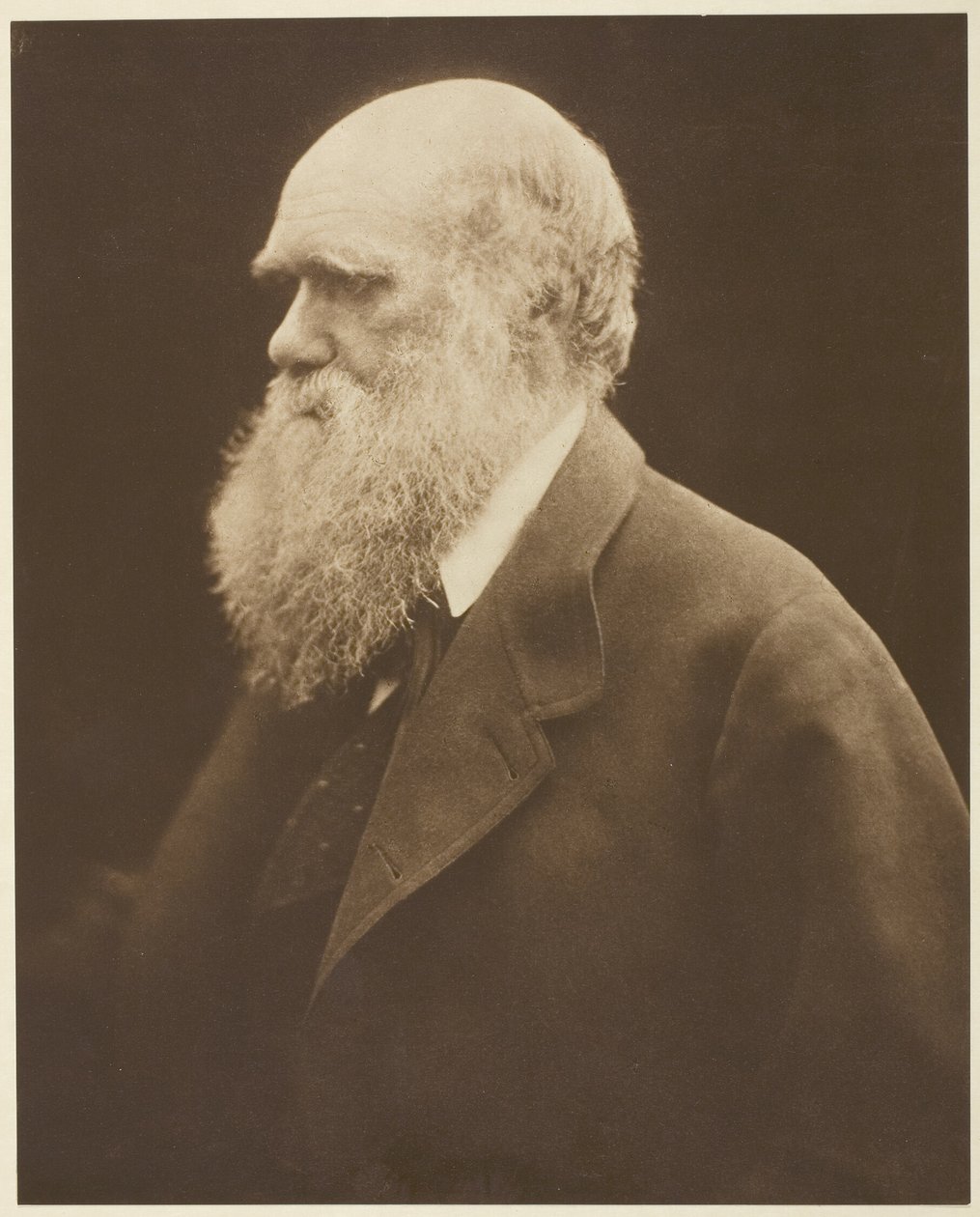 Charles Darwin door Julia Margaret Cameron