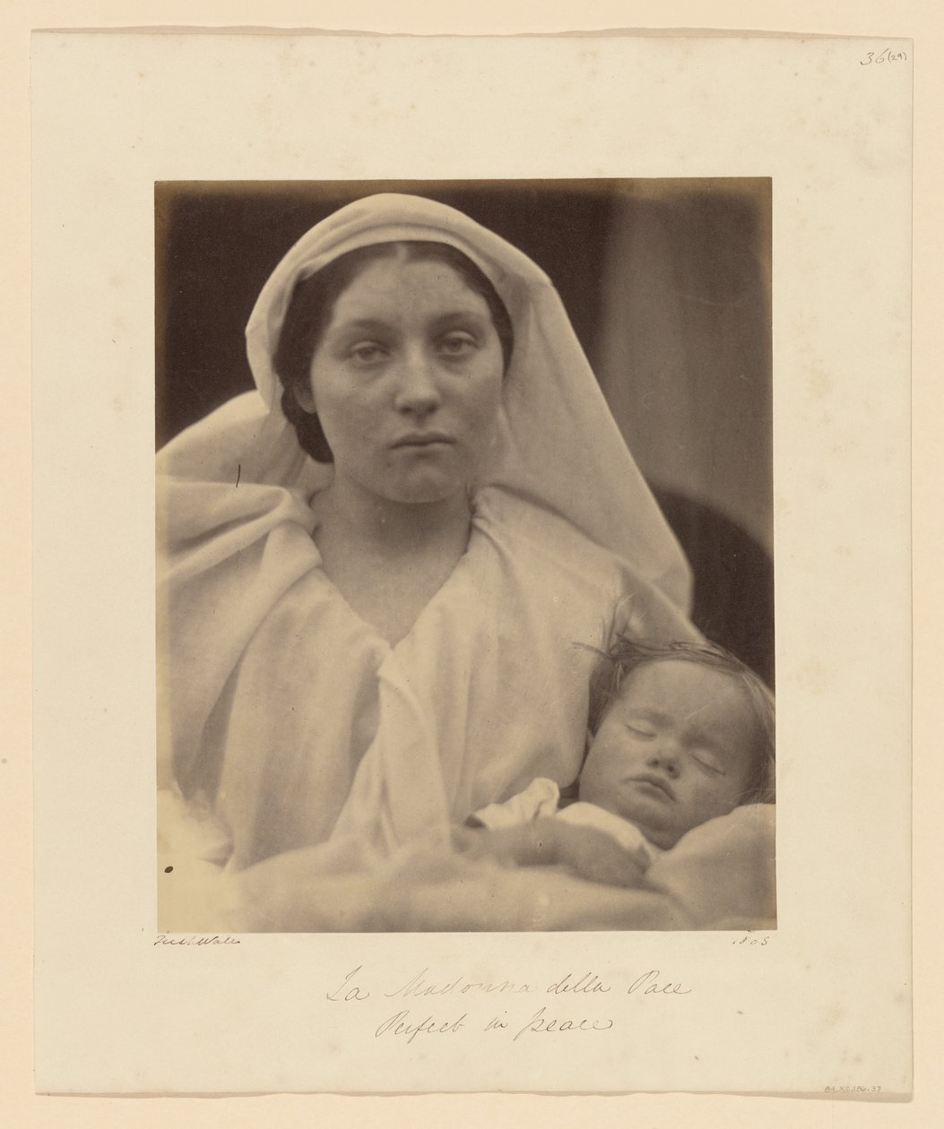 Onze-Lieve-Vrouw van de Vrede door Julia Margaret Cameron