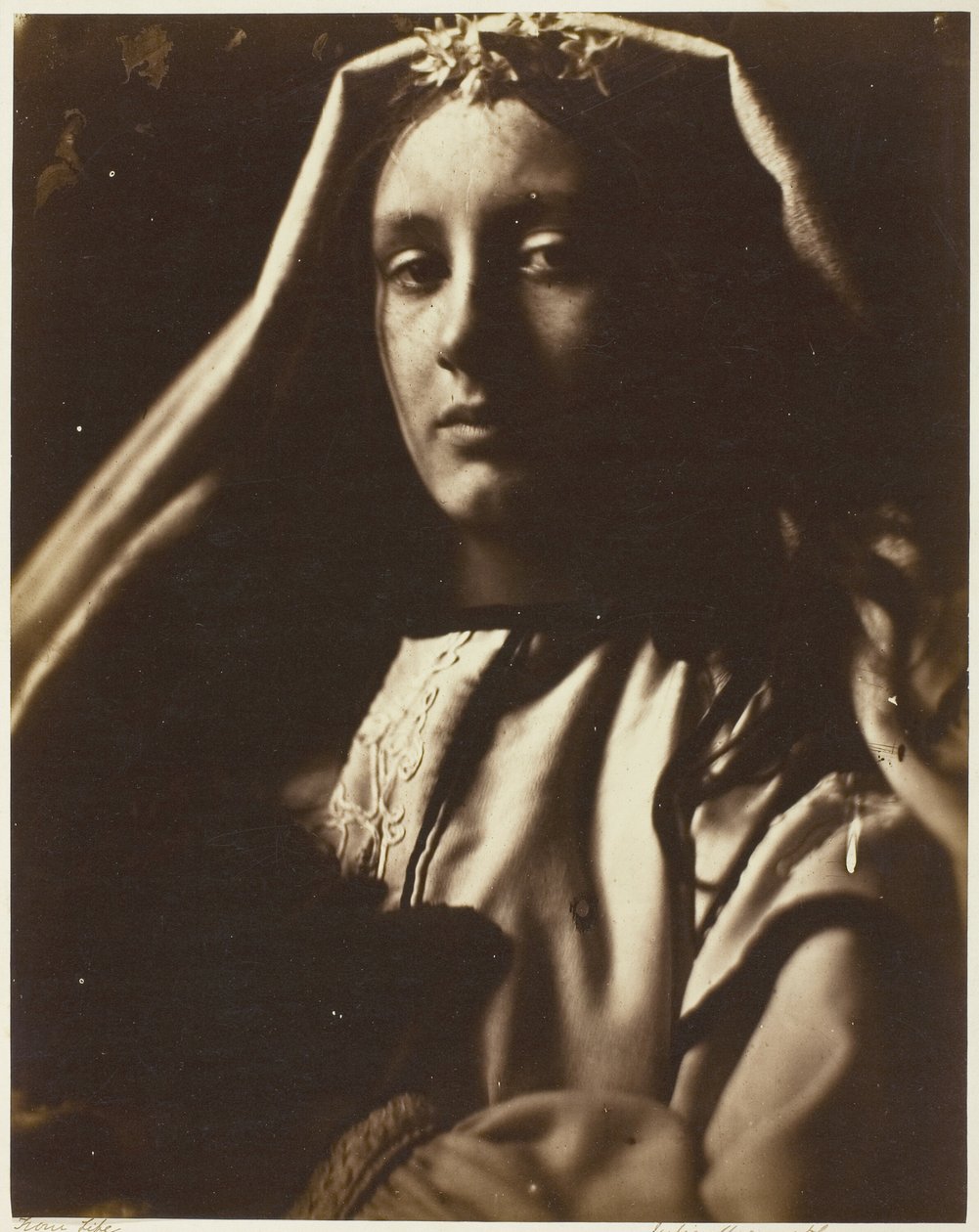 De Napolitaan door Julia Margaret Cameron