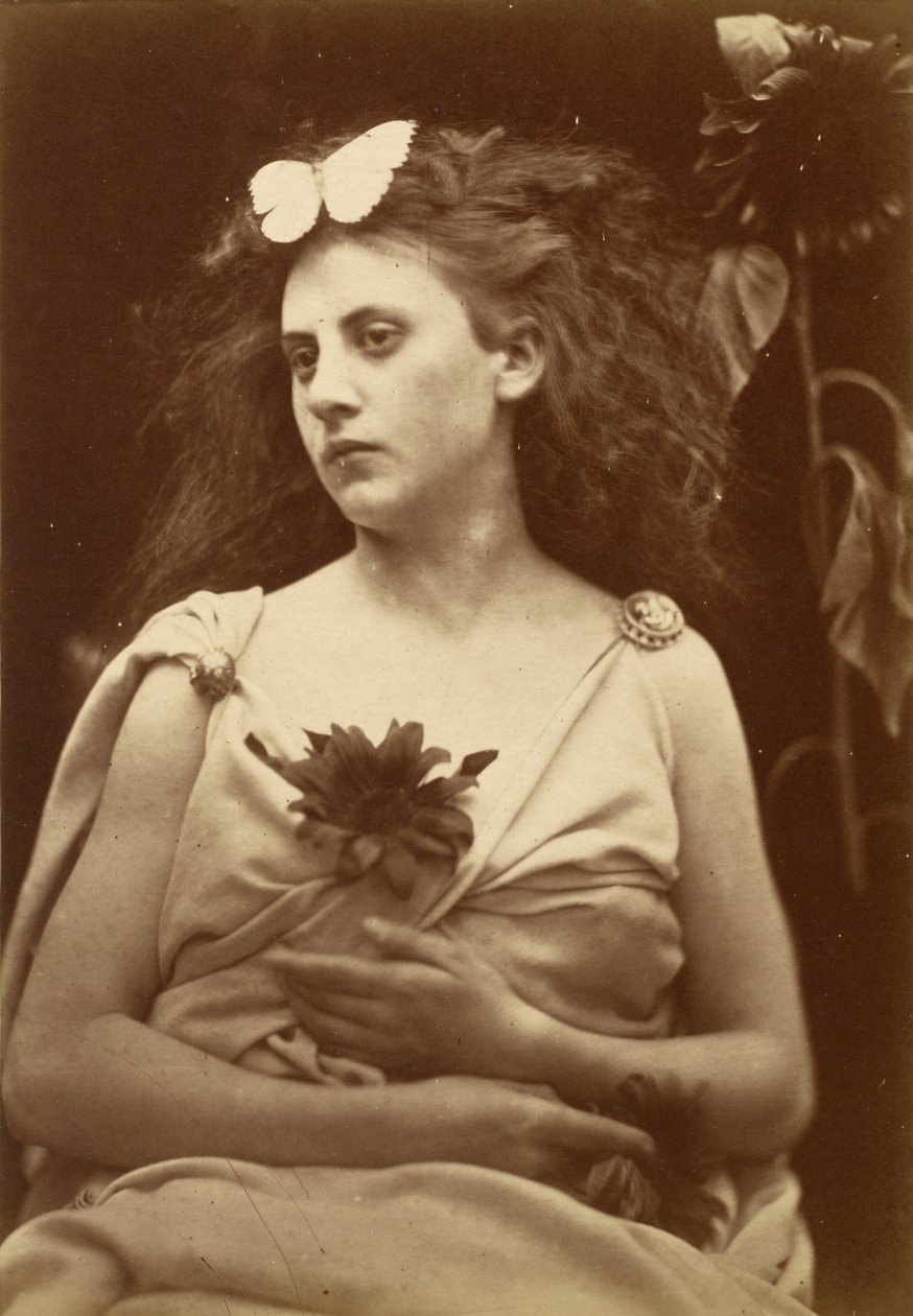 De zonnebloem door Julia Margaret Cameron