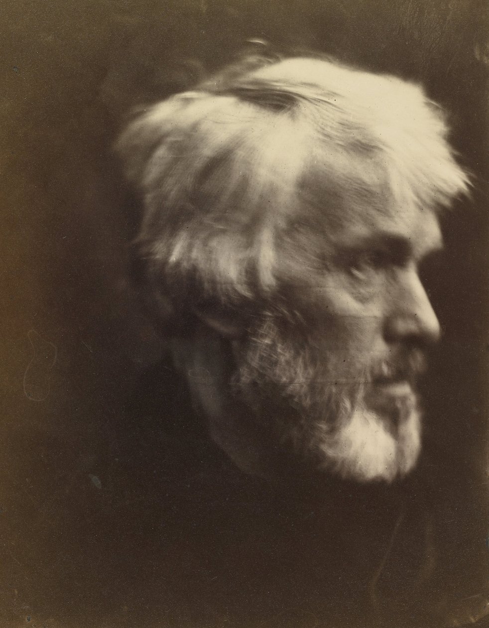 Thomas Carlyle (1795 - 1881) door Julia Margaret Cameron