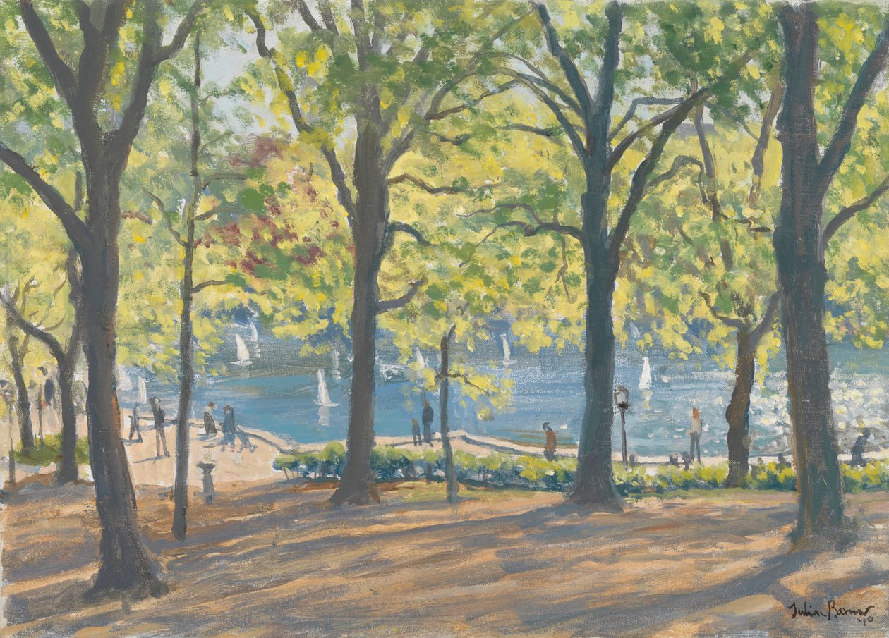 Central Park, New York, 2010 door Julian Barrow