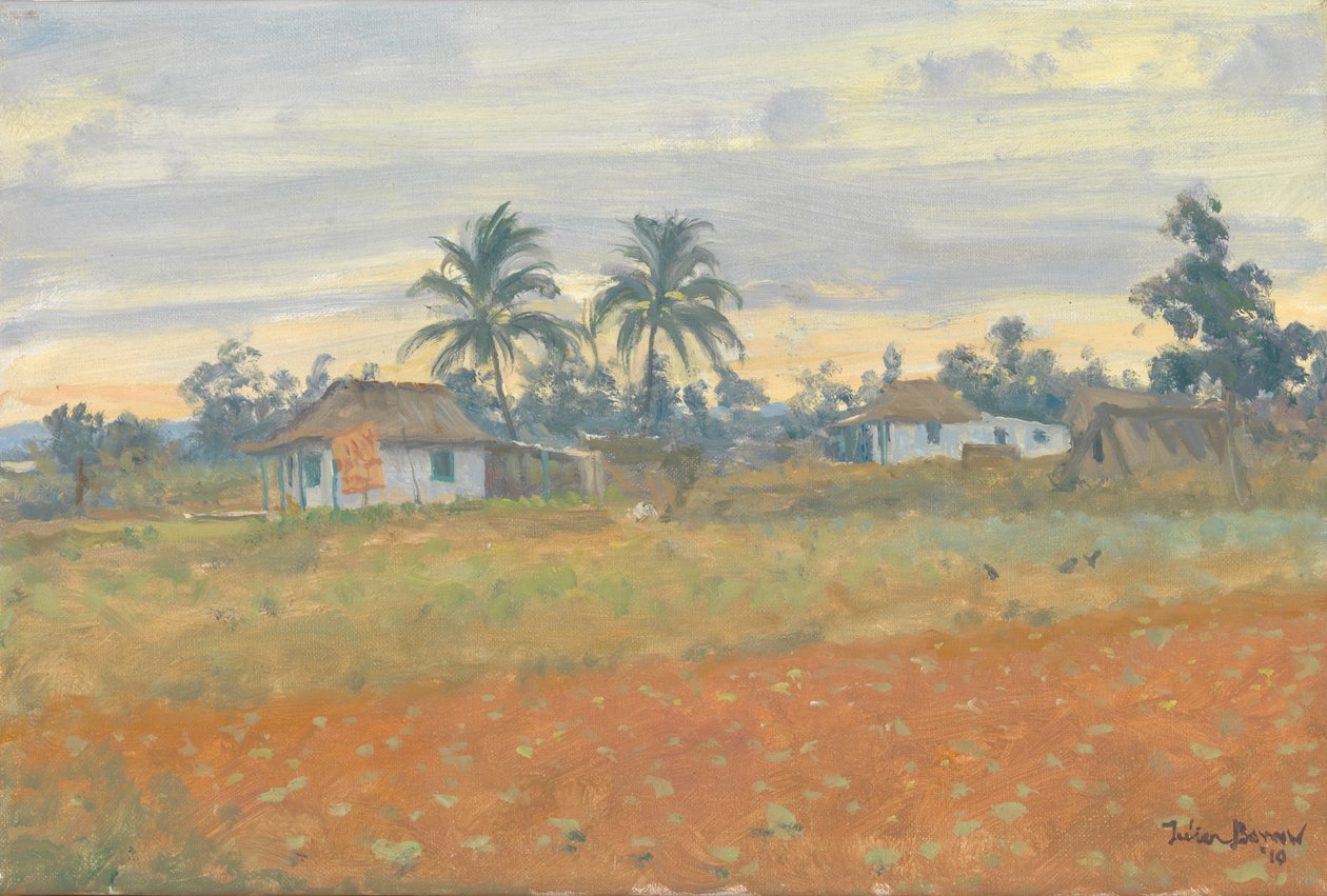 Cubaans Landschap door Julian Barrow