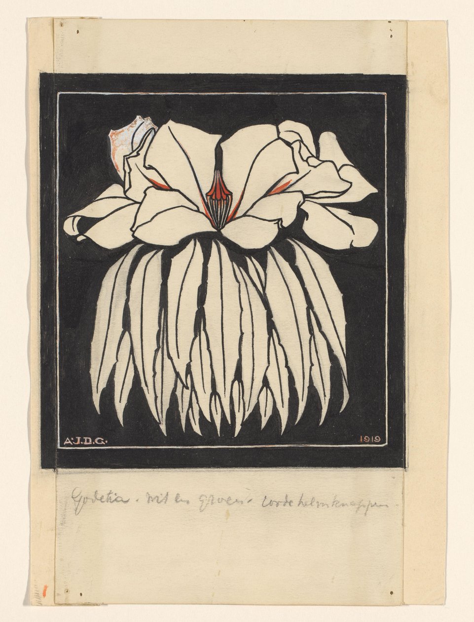 Godetia door Julie de Graag (signed by artist)