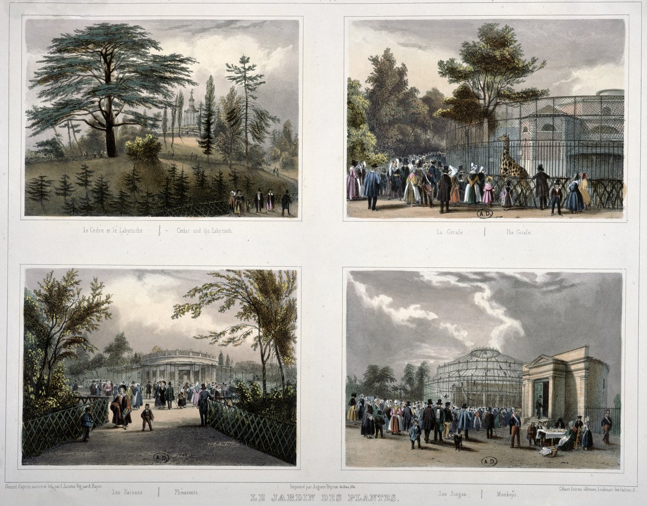 De Jardin des Plantes in Parijs: ceder en het labyrint, de giraffe, fazanten, apen door Jean Jacottet
