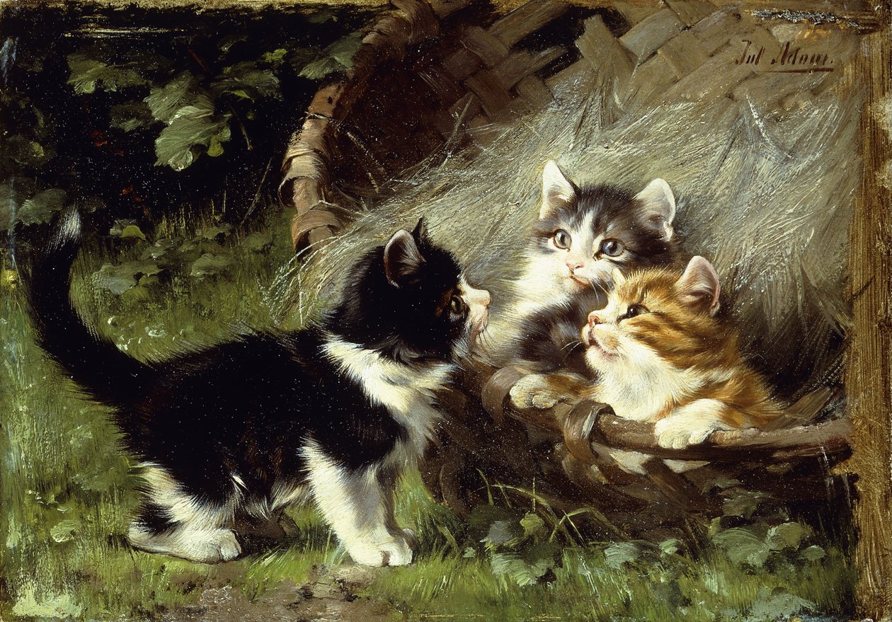 Is er nog plaats in de mand? door Julius Adam