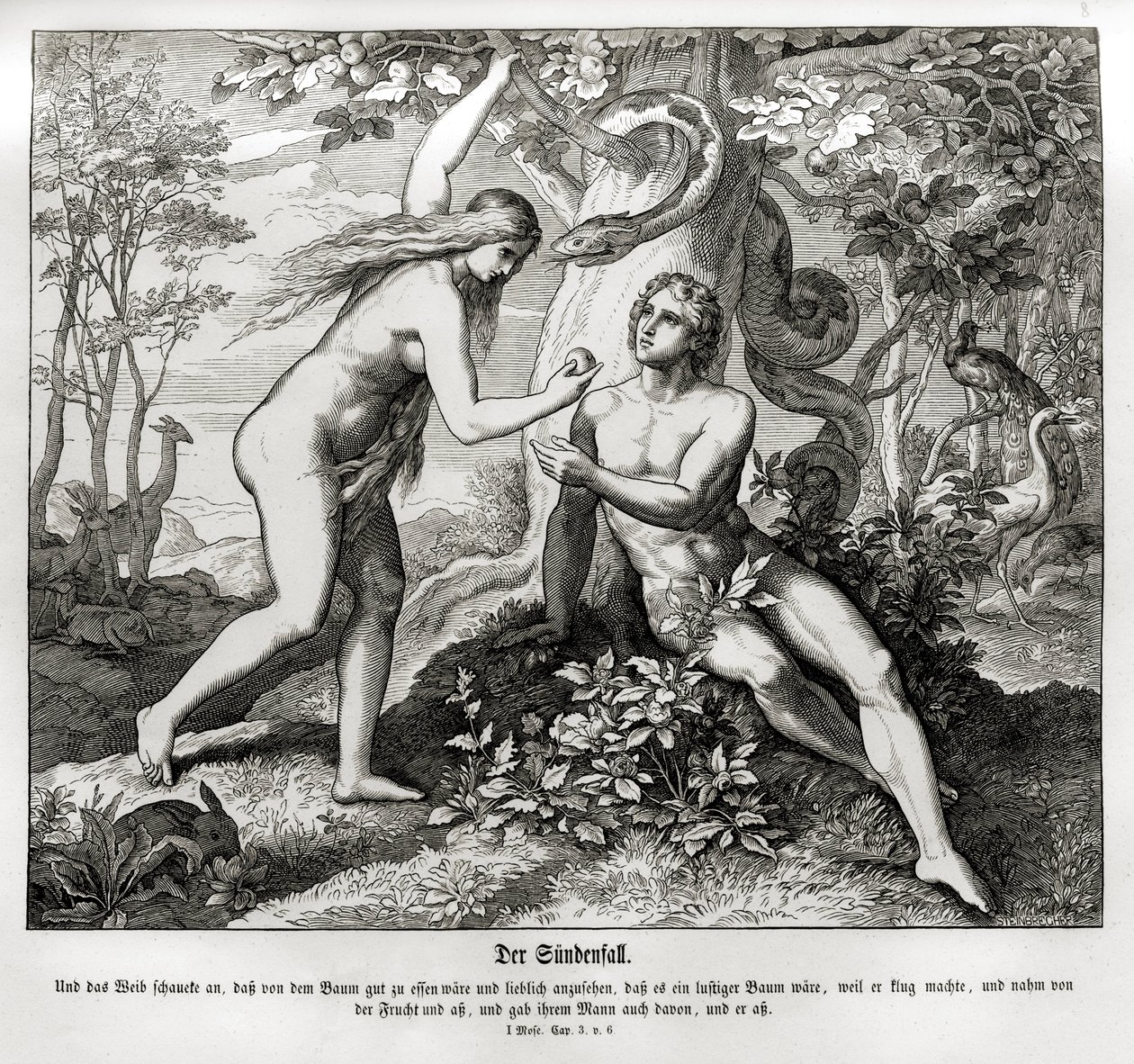 De val, Genesis door Julius Schnorr von Carolsfeld