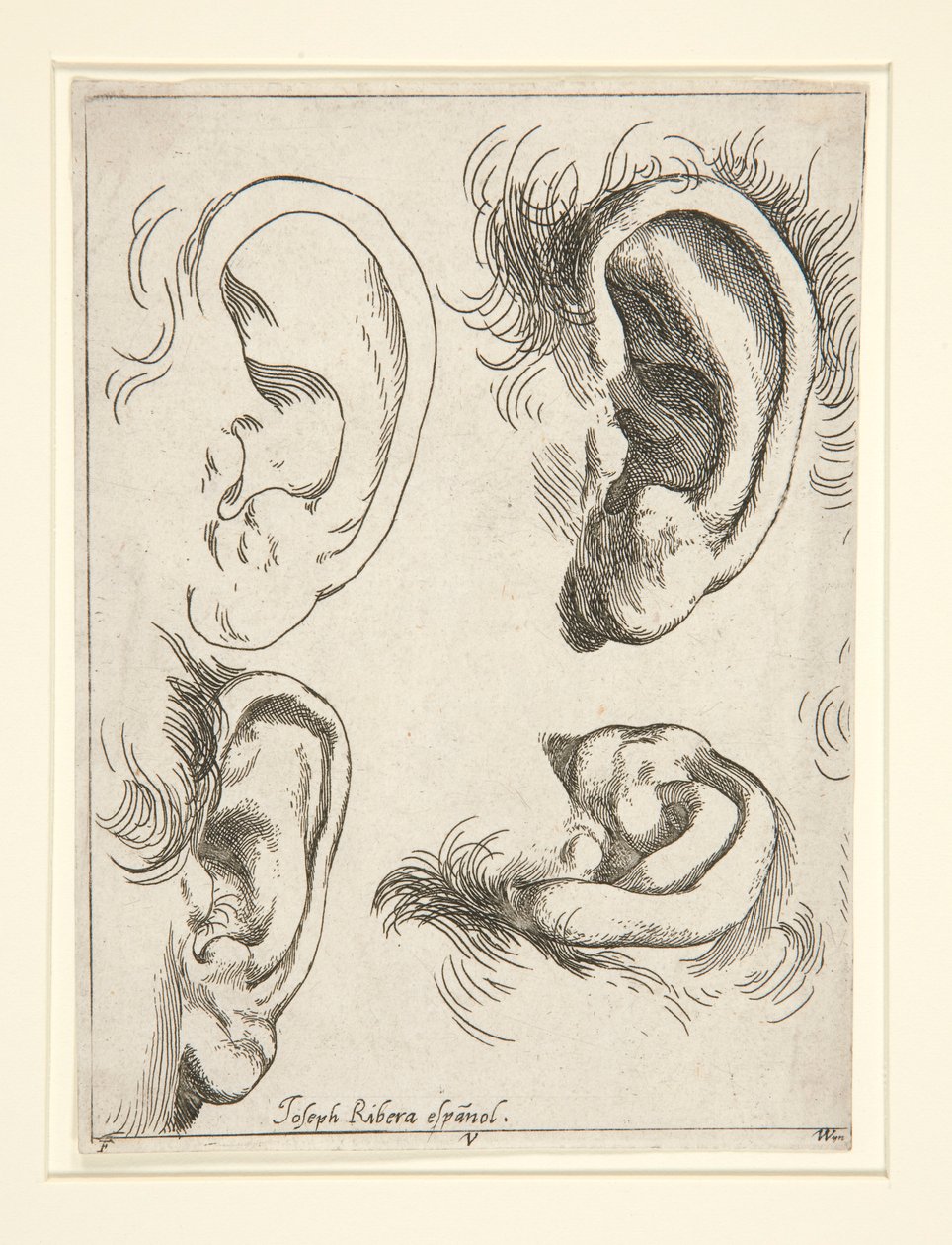 Studies van vier oren door Jusepe de Ribera