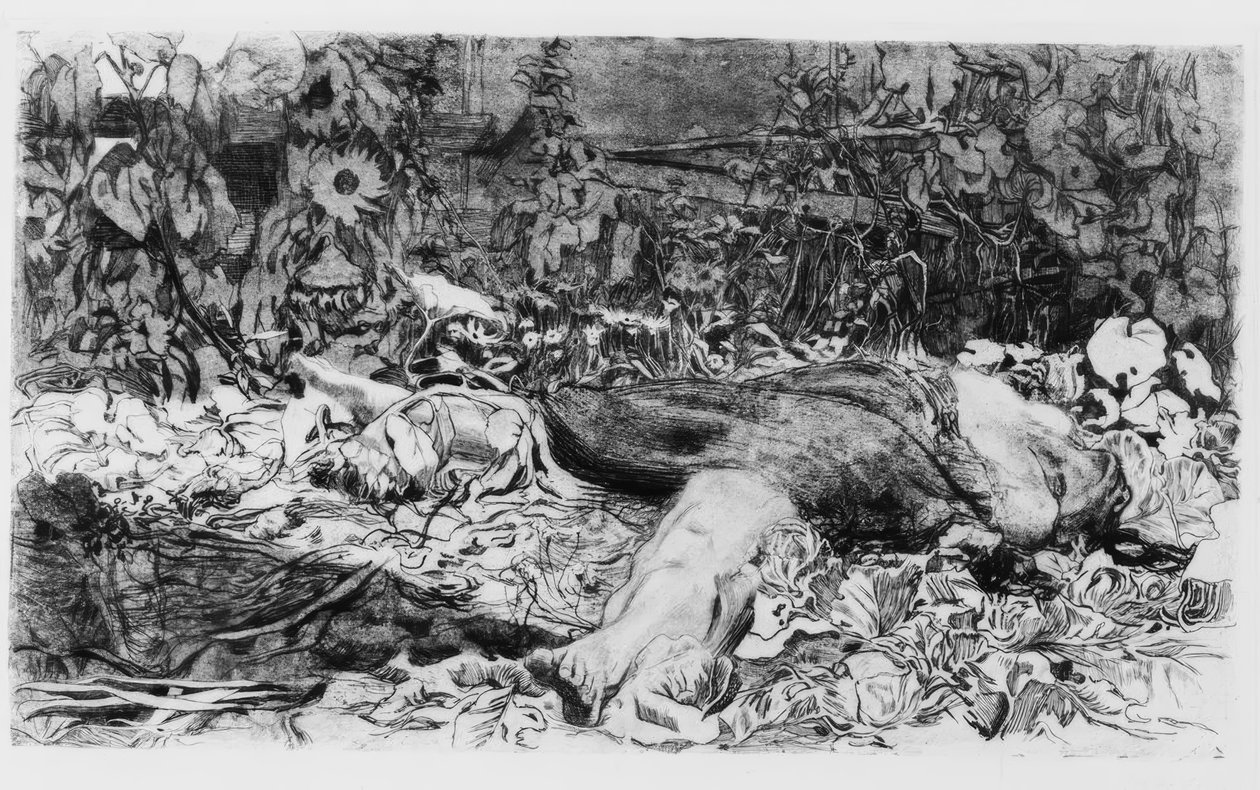 Verkracht door Käthe Kollwitz