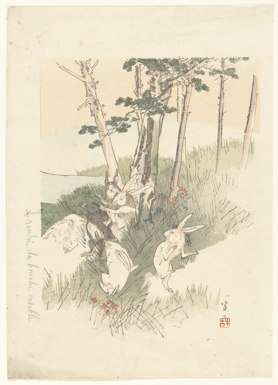 Konijnen en een mol door Kajita Hanko