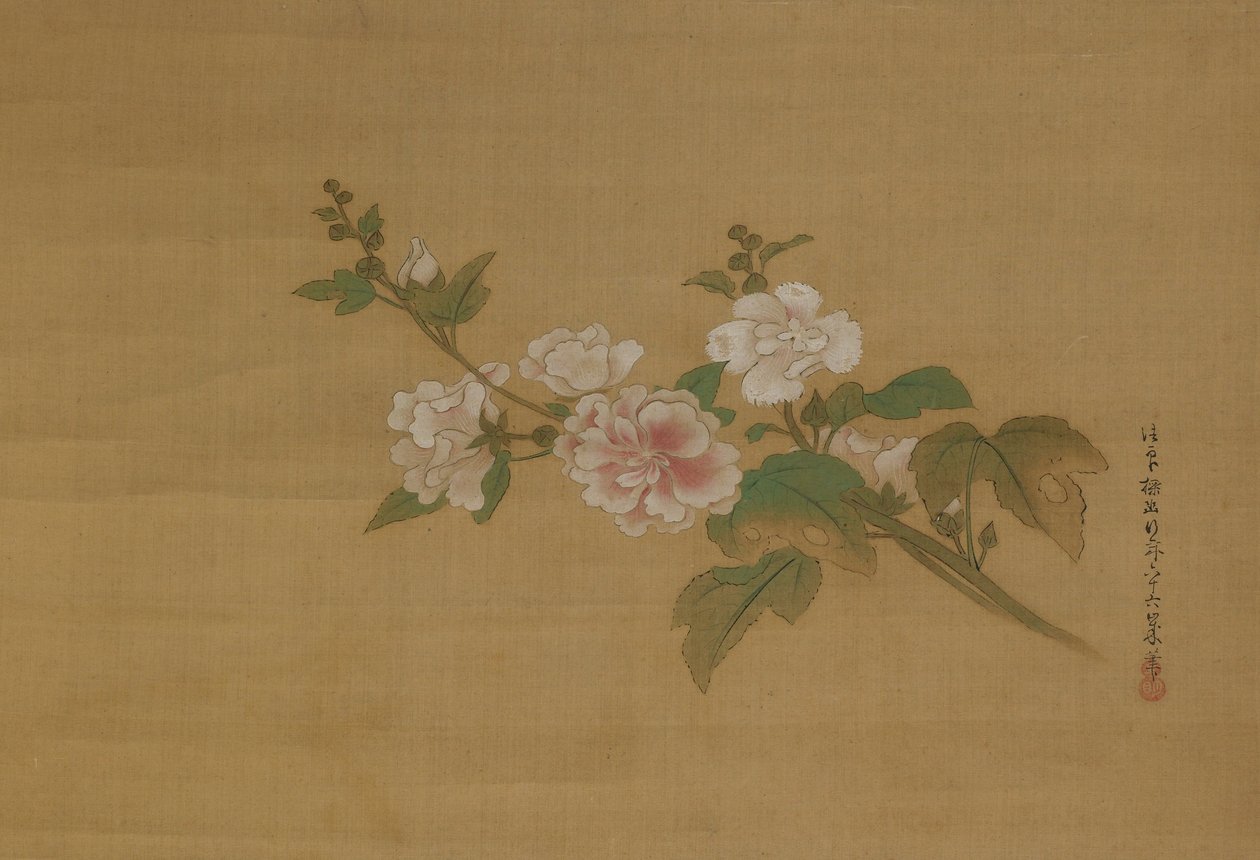 Een tak van bloeiende hibiscus, Edo-periode door Kanō Tan’yū