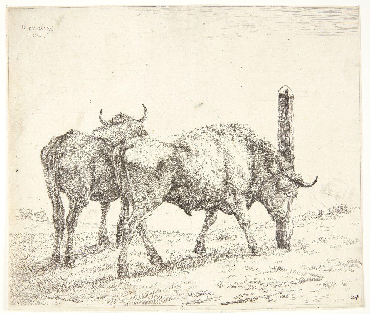 De twee ossen door Karel Du Jardin