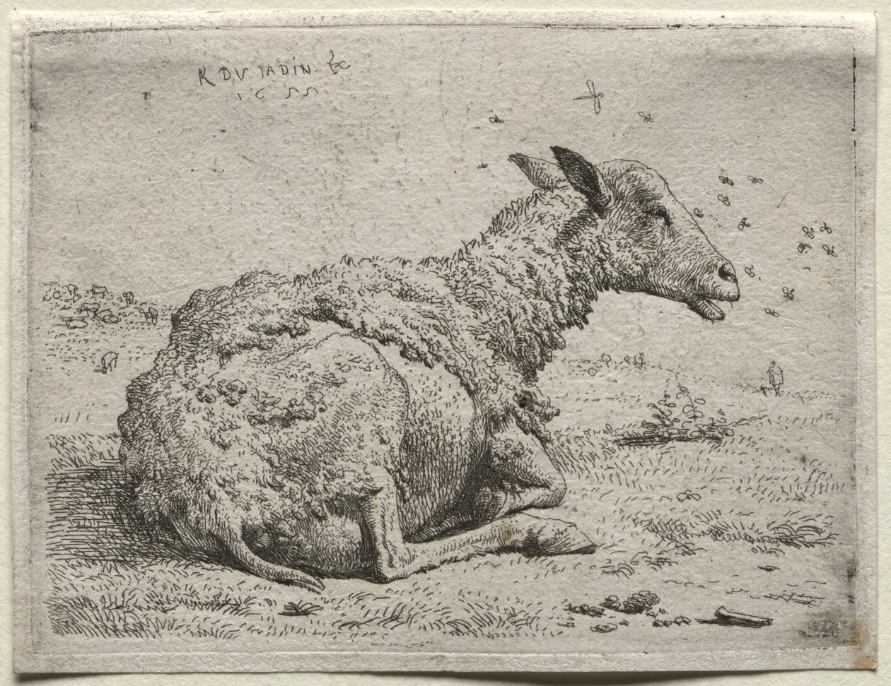 Het Schaap en de Vliegen door Karel Dujardin