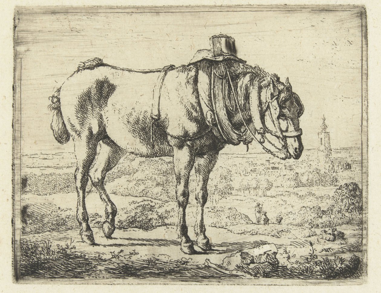 Paard opgetuigd als werkpaard door Karel du Jardin (possibly)