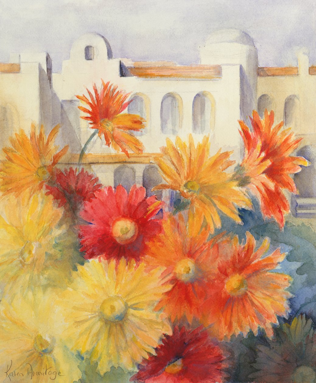 Gerbera