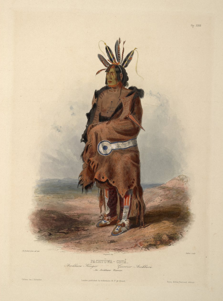 Een Arrikara krijger door Karl Bodmer