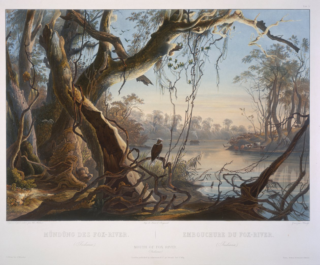Monding van de Fox River (Indiana) door Karl Bodmer