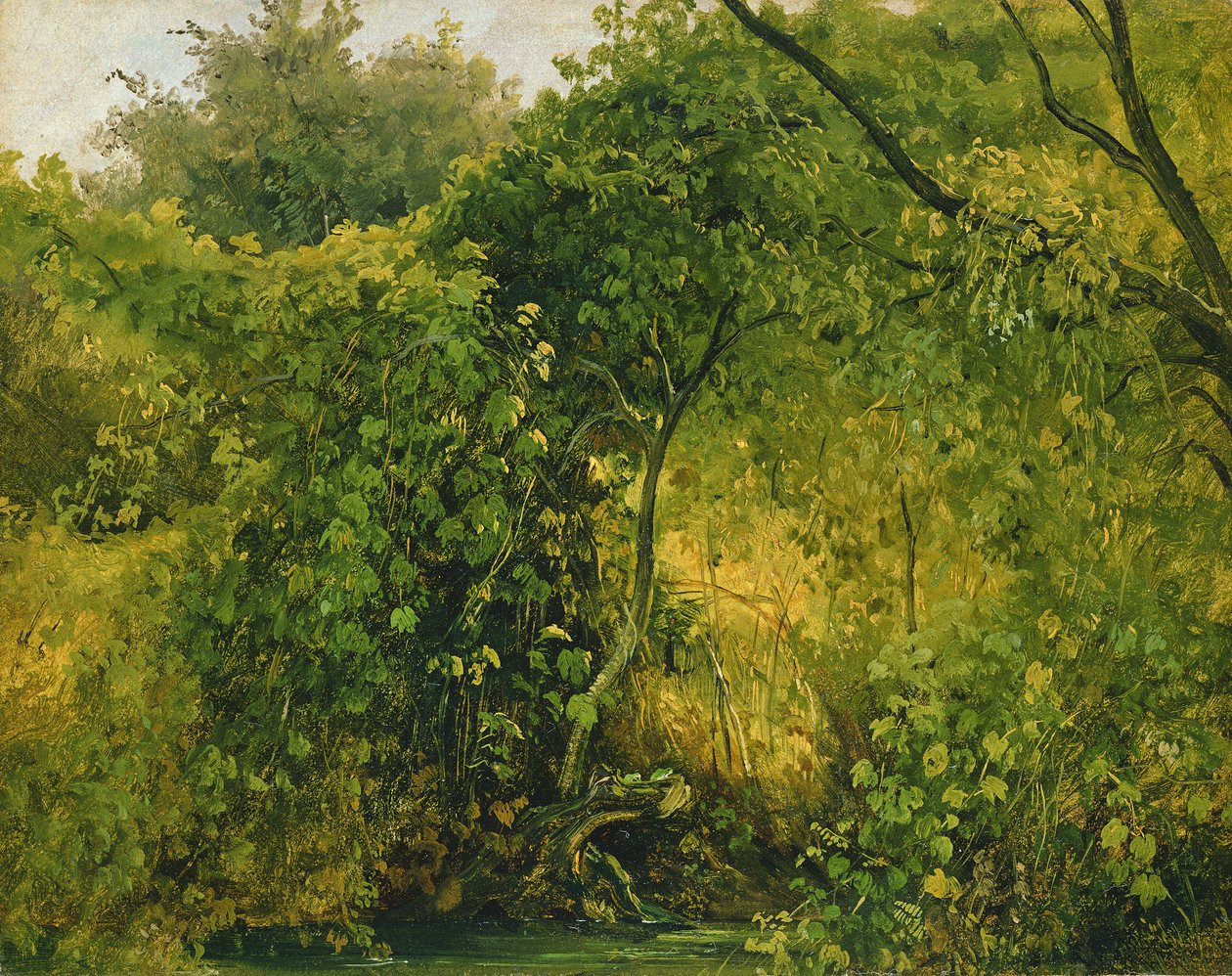Struiken bij Pillnitz, ca. 1818-28 door Karl Gustav Carus