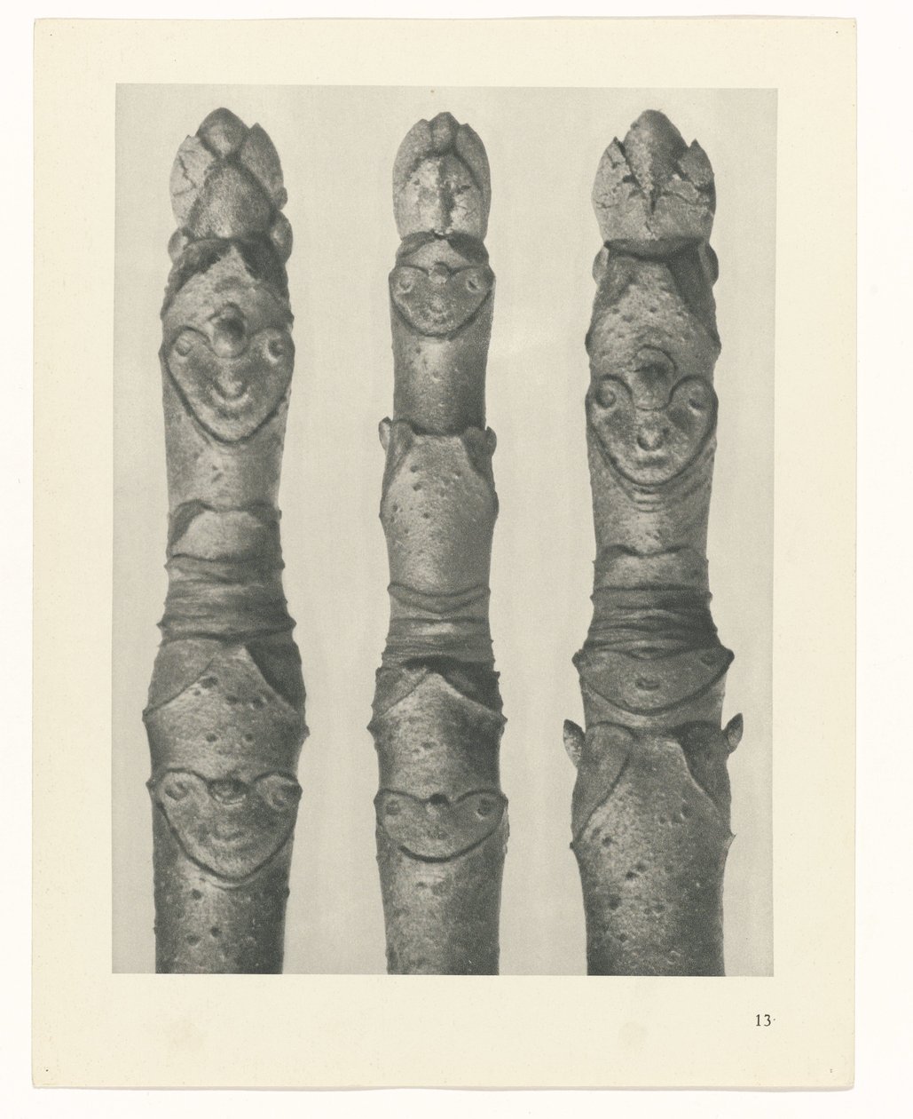 Plantstudie Urformen der Kunst (serietitel) door Karl Blossfeldt
