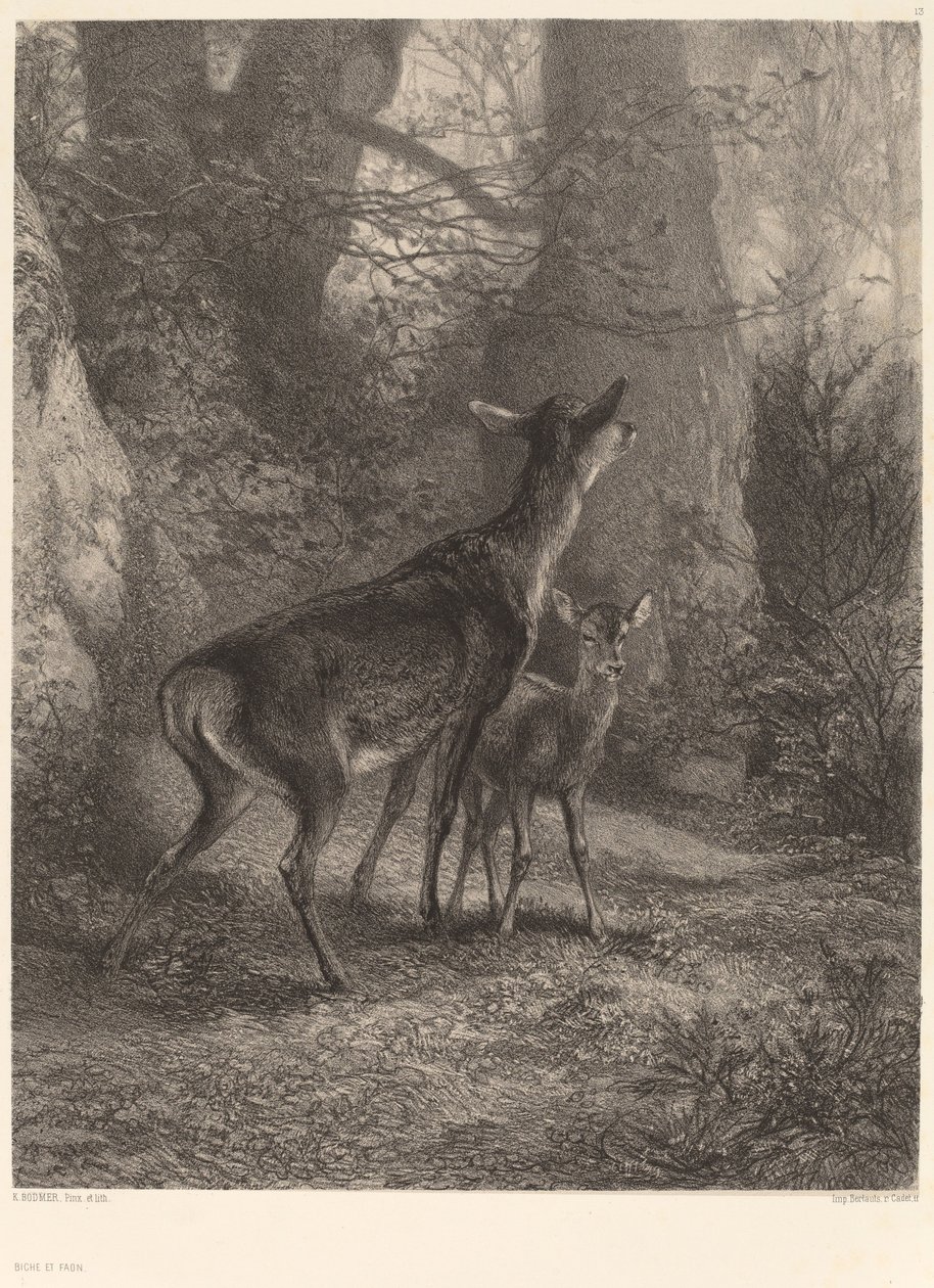 Hinde en Hertenkalf door Karl Bodmer