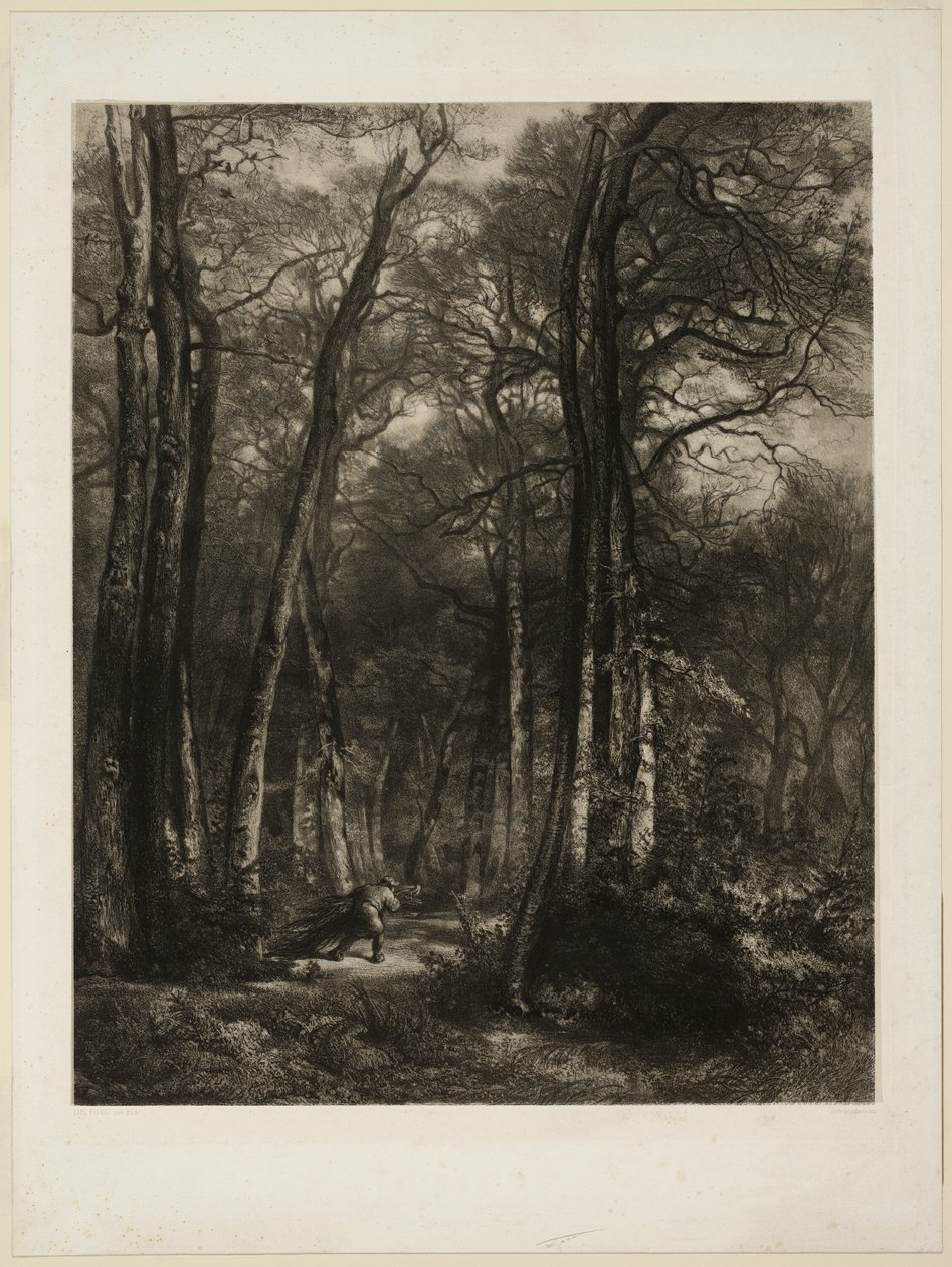 In het bos door Karl Bodmer