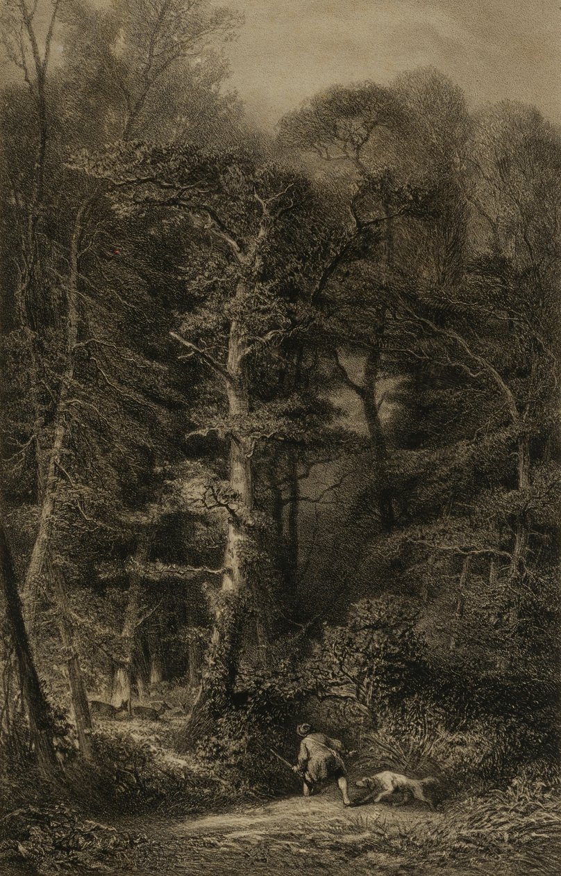 Bos interieur door Karl Bodmer