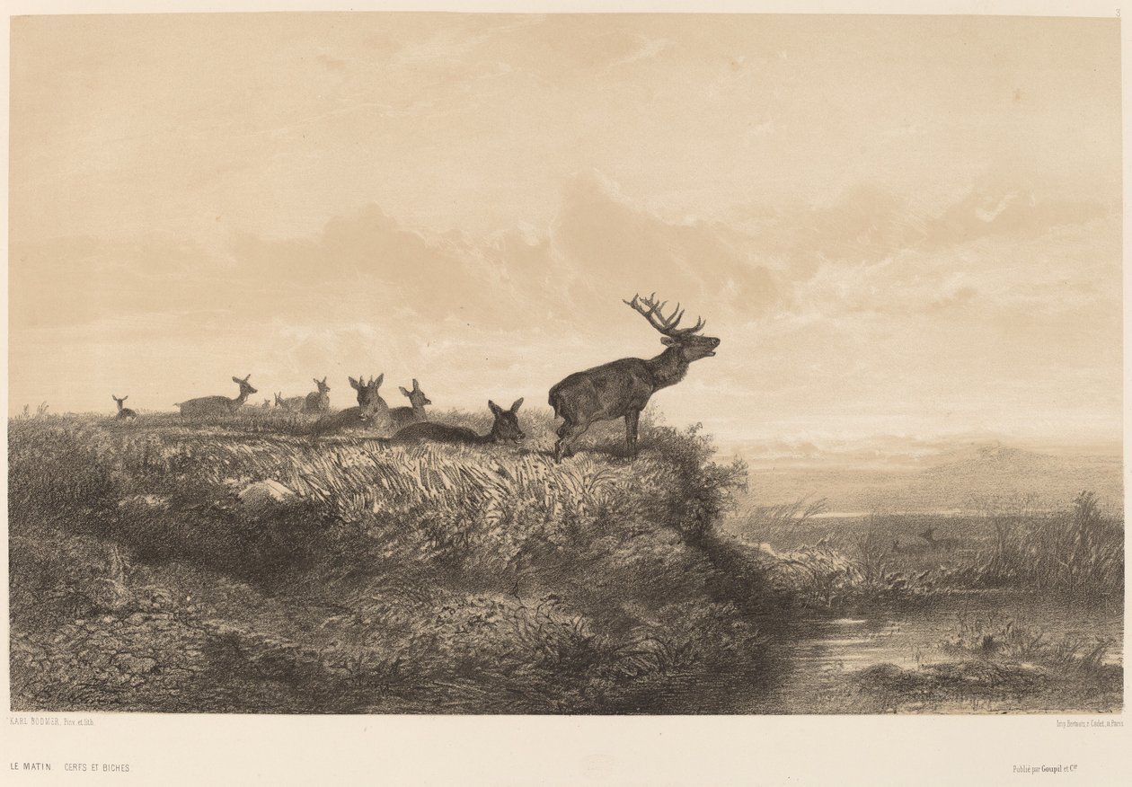 De Ochtend door Karl Bodmer