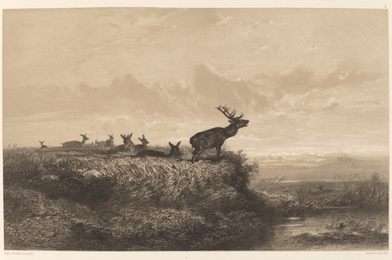 Le Matin. Hert en Hinden door Karl Bodmer