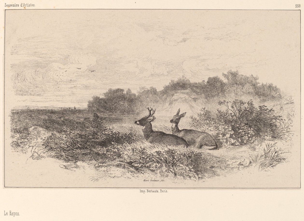 De rust door Karl Bodmer