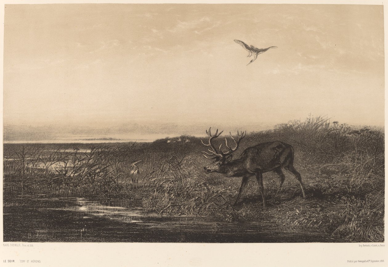 De Avond. Hert en Reigers door Karl Bodmer