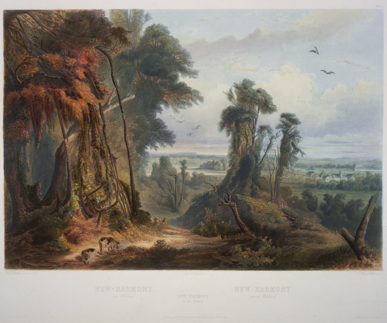 New Harmony aan de Wabash door Karl Bodmer