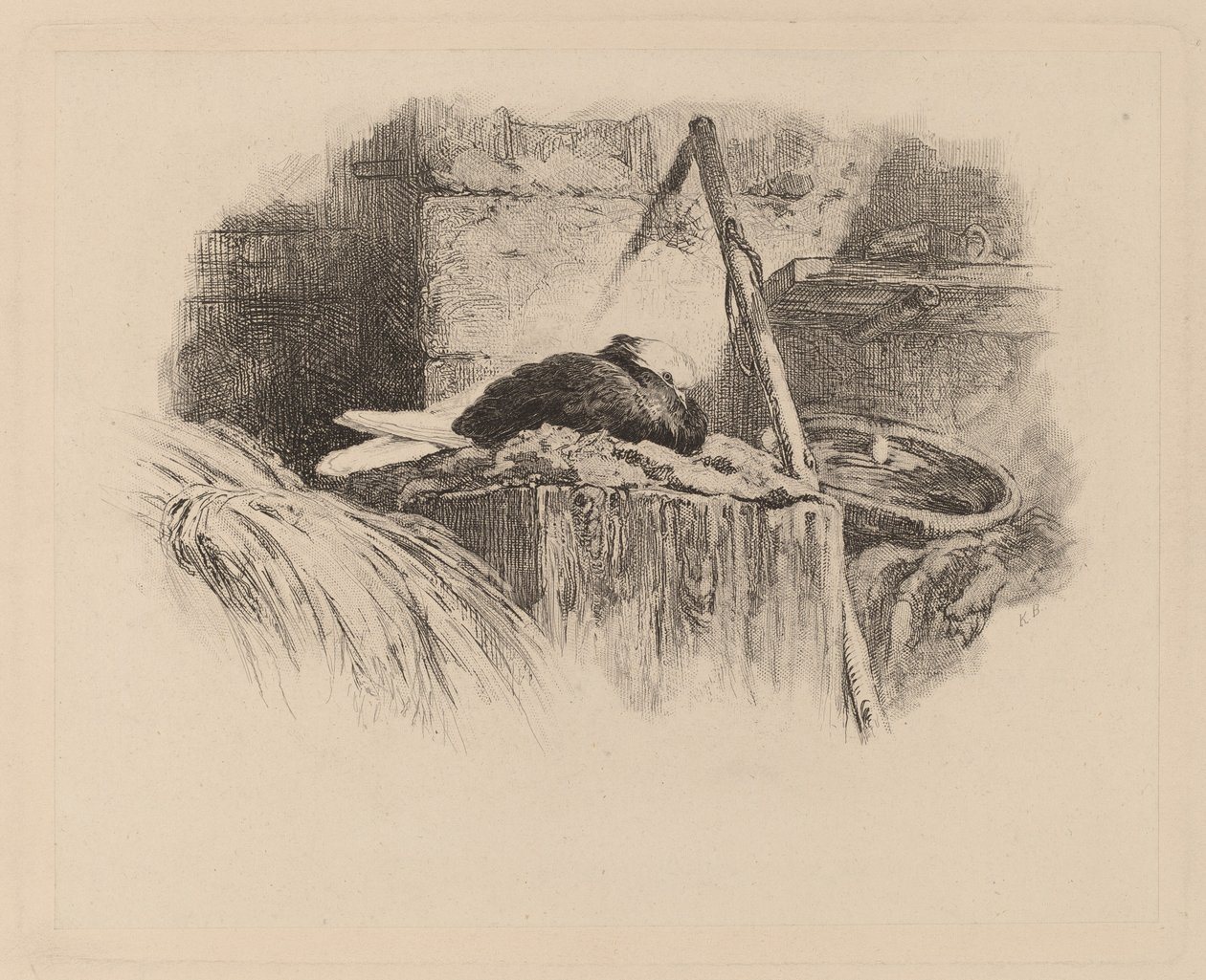 Duif op een nest door Karl Bodmer