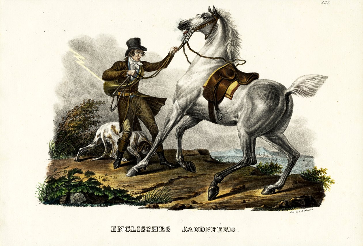 Engelse jachthond, 1824 door Karl Joseph Brodtmann