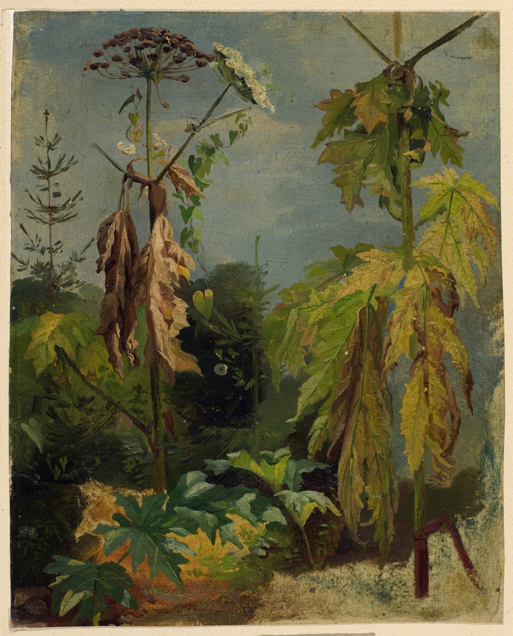 Schierling-studie door Karl Ludwig Seeger