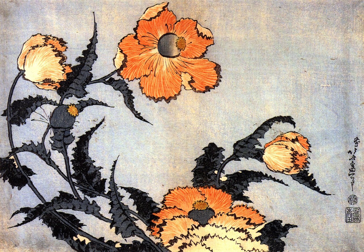 Klaprozen door Katsushika Hokusai