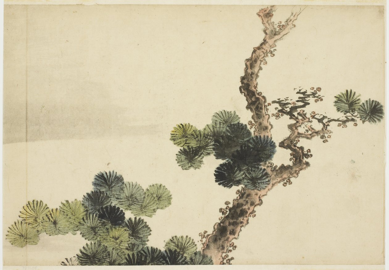 Dennentak door Katsushika (school of) Hokusai