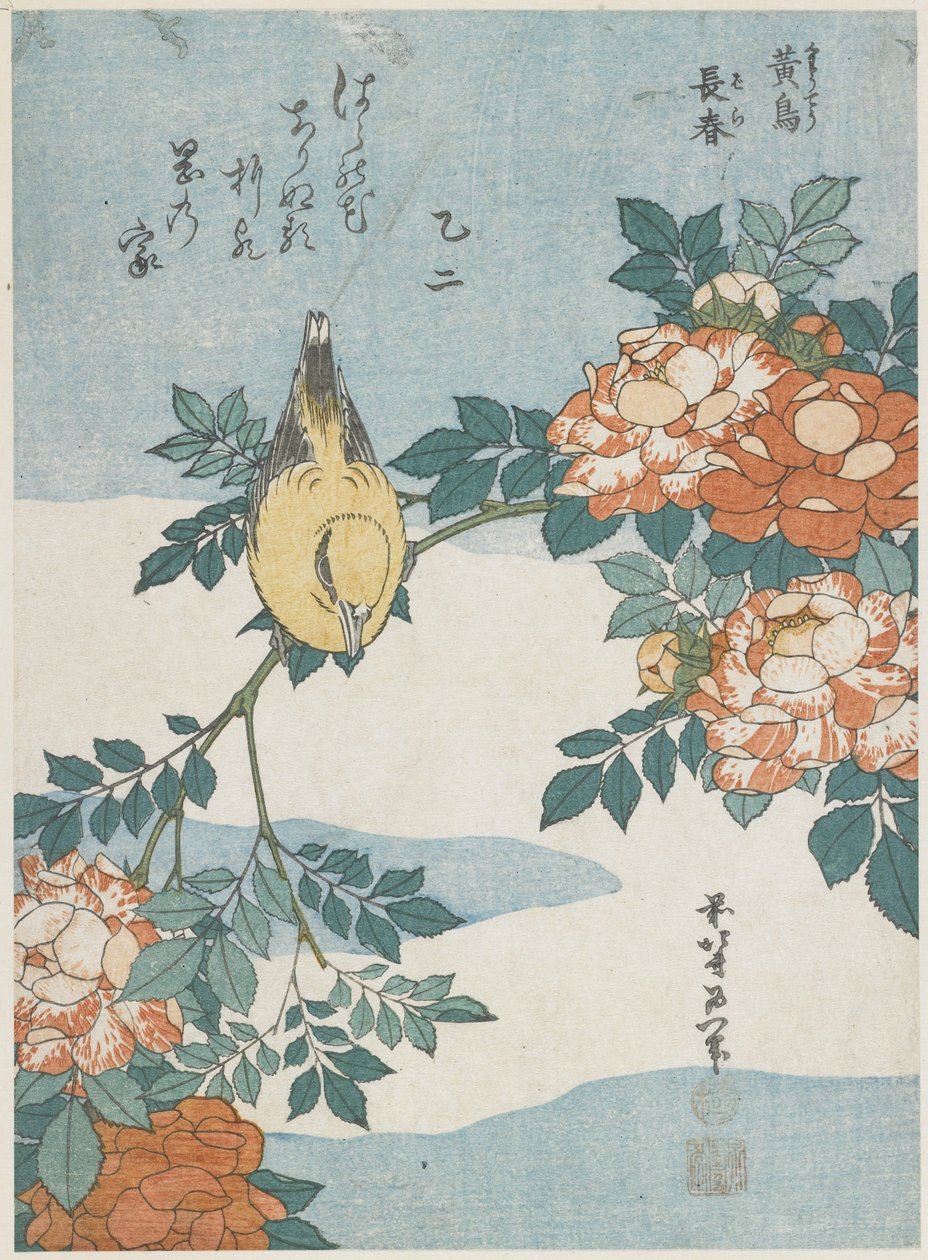 Zwartnekoriole en Chinese Roos, ca. 1833 door Katsushika Hokusai