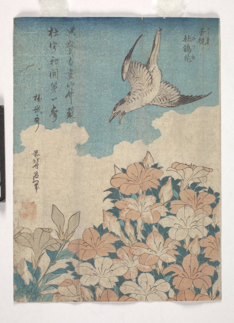 Koekoek en Azalea door Katsushika Hokusai