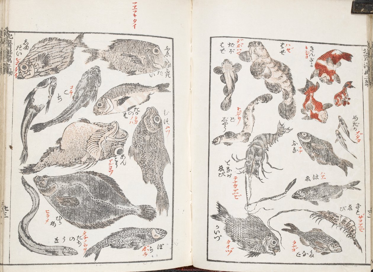 Vissen en zeedieren door Katsushika Hokusai