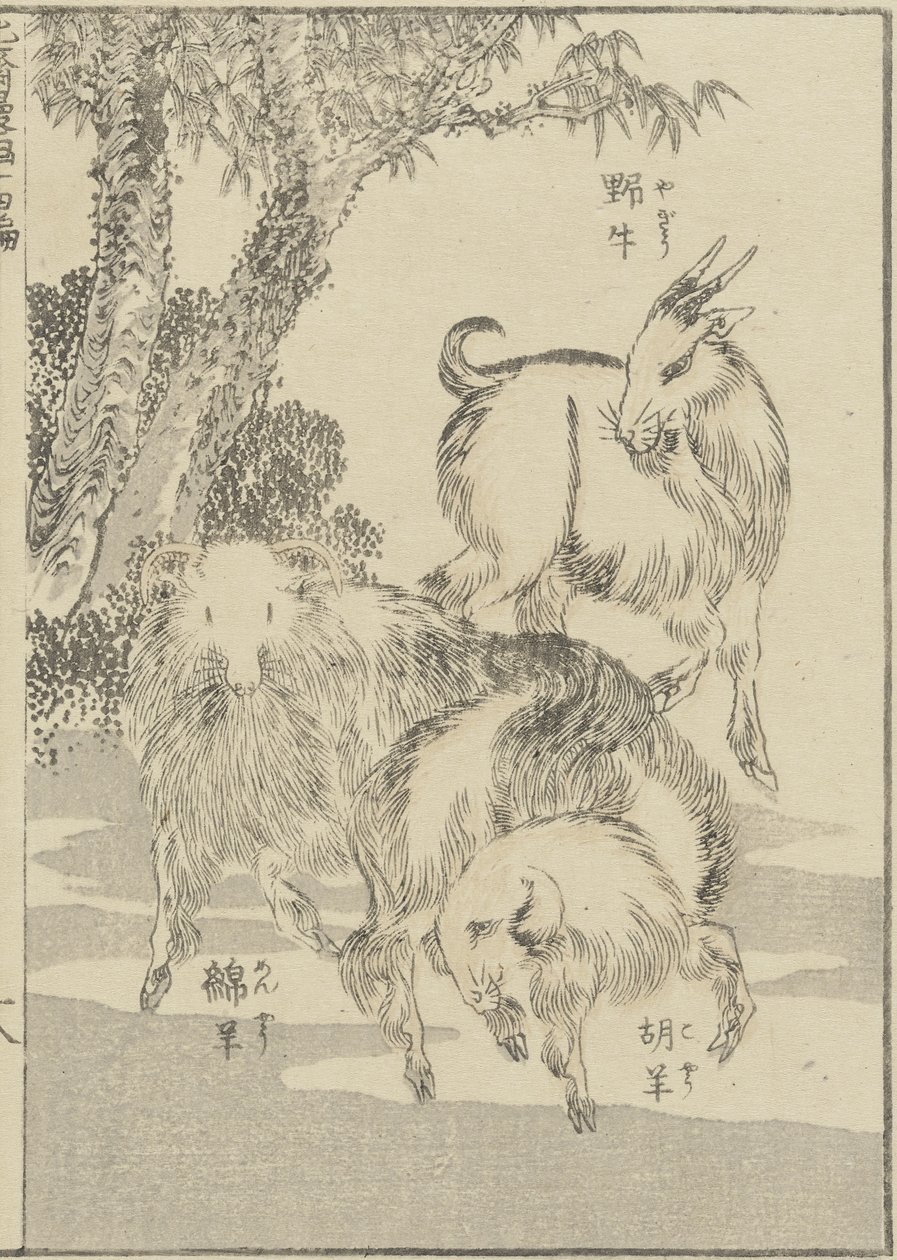 Geiten, ca. 1840 (houtsnede) door Katsushika Hokusai