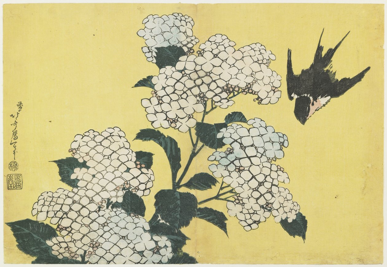 Hortensia en Zwaluw, c. 1832 door Katsushika Hokusai