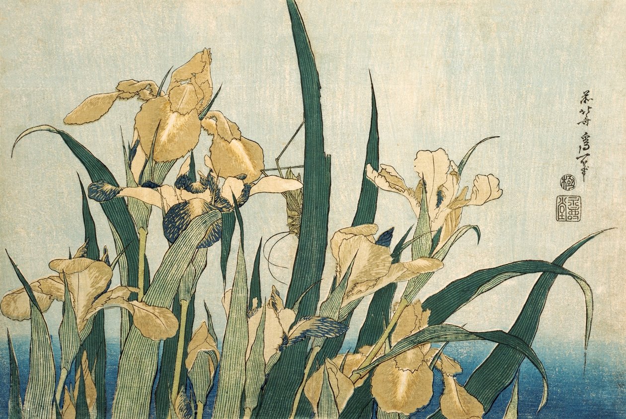 Iris met een sprinkhaan, pub. 1830 door Katsushika Hokusai
