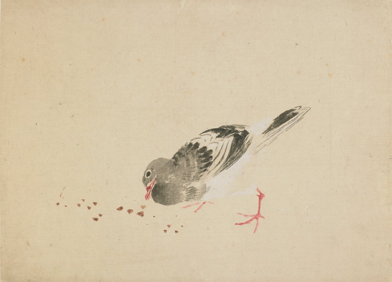 Duif, laat 18e-begin 19e eeuw door Katsushika Hokusai