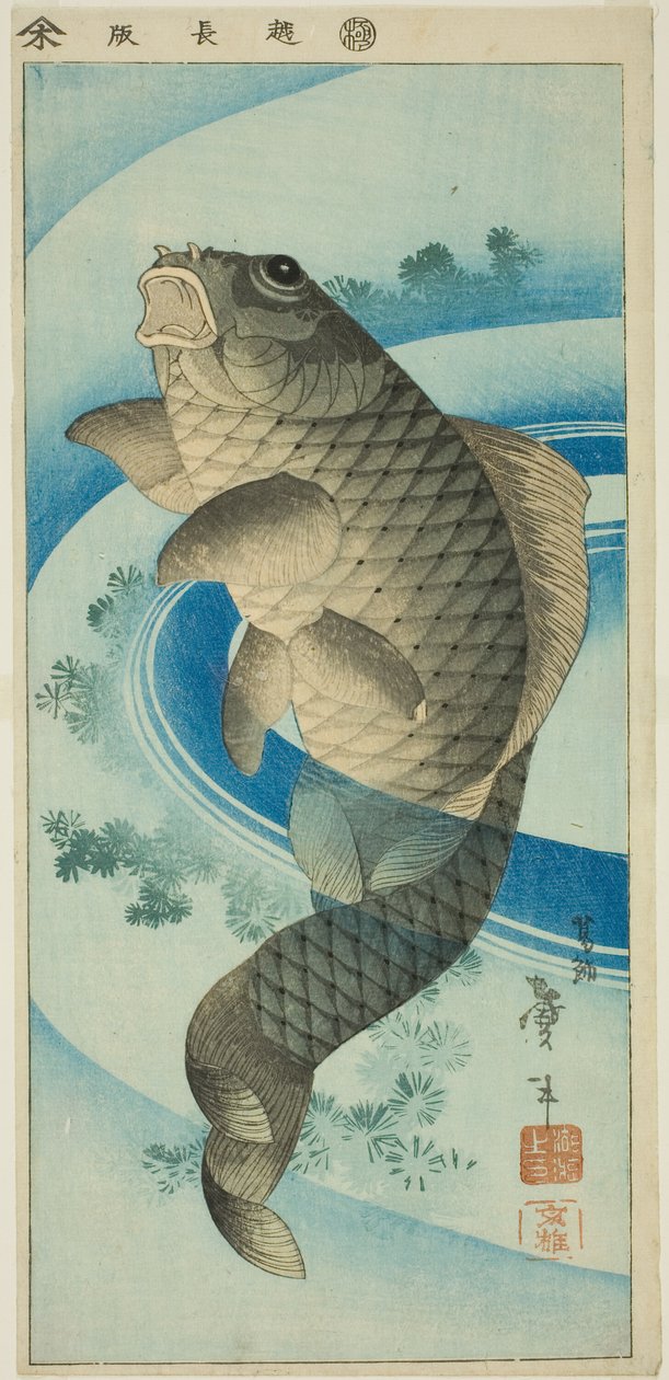 Karper door Katsushika Taito II