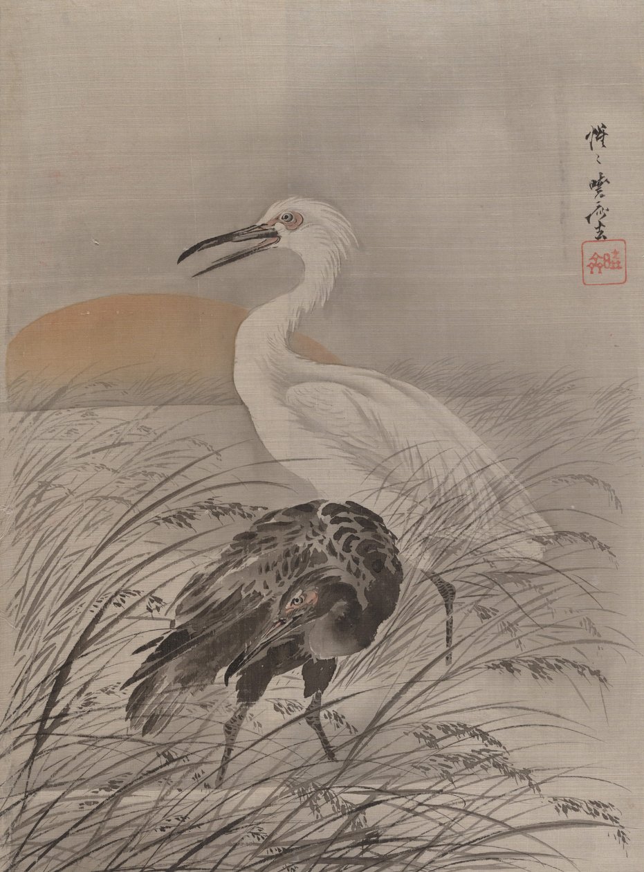 Kraanvogels in het moeras door Kawanabe Kyosai